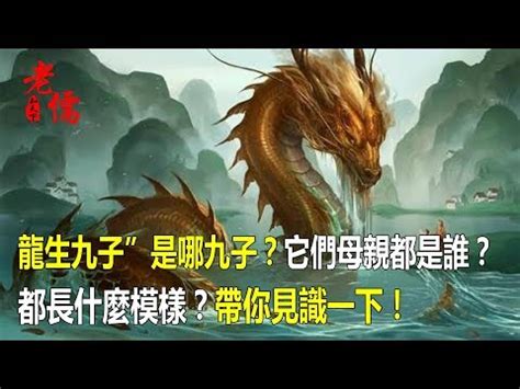 龍生九子 龍龜|龍生九子之龍龜的歷史和風水作用，